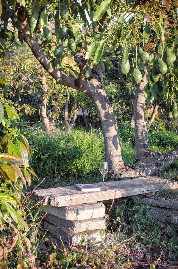 La Casa De La Cartita Βίλα Πούντα Γκόρντα Εξωτερικό φωτογραφία
